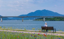 남양주 한강삼페공원 수레국화,자작나무 - ――······· 자연풍경 사진 - 너에게 편지를 남양주 한강삼페공원 수레국화,자작나무