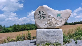 평창 청옥산 육백마지기 샤스타 데이지 천상의 화원  - ――······· 산악등산 풍경 - 너에게 편지를 평창 청옥산 육백마지기 샤스타 데이지... 