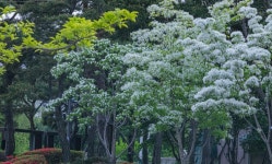 청계산 수변공원 - ――······· 자연풍경 사진 - 너에게 편지를 청계산 수변공원