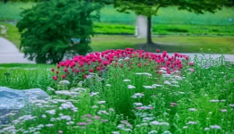 올림픽공원 향기원 - ――······· 자연풍경 사진 - 너에게 편지를 올림픽공원 향기원