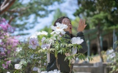 덕수궁 모란 - ――······· 자연풍경 사진 - 너에게 편지를 덕수궁 모란