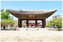 덕수궁 - ――······· 자연풍경 사진 - 너에게 편지를 덕수궁