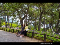 송림공원에서 - ――······· 자연풍경 사진 - 너에게 편지를 송림공원에서