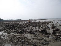 인천 영흥도 십리포 해수욕장 - ――······· 자연풍경 사진 - 너에게 편지를 인천 영흥도 십리포 해수욕장