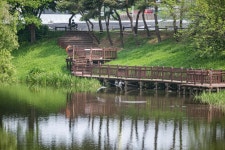 구리 장자호수공원 - ――······· 자연풍경 사진 - 너에게 편지를 구리 장자호수공원