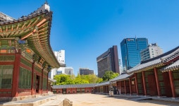 덕수궁 모란 - ――······· 자연풍경 사진 - 너에게 편지를 덕수궁 모란