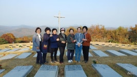 11월 첫날 군위 묘원 - ◈ 이야기마당 - 대안성당 열린 카페 11월 첫날 군위 묘원