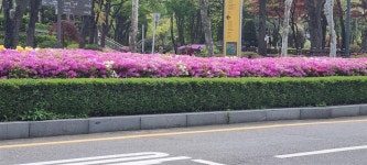종합 운동장 화단 - 사랑방 손님과 어머니 - 역학동 역학동