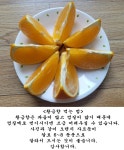 맛있는 서귀포 조생감귤, 황금향 판매합니다. - 역학장터 - 역학동 맛있는 서귀포 조생감귤, 황금향 판매합니다.