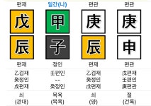 甲木 - 명리마당 - 역학동 甲木
