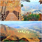 2022년 대선당선자 - - 사회적 이슈 - 덕경그룹(德炅家族) 2022년 대선당선자