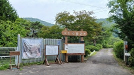 김포 다도박물관 - 2. 차, 다기 이야기 - 초인목(艸人木) 김포 다도박물관