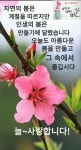 미륵불의 출세와 용화회상 - 하루의 시작 - 아름다운 人生 미륵불의 출세와 용화회상