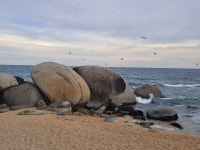 투표하시고 오셔서 심심풀이로 보세요! - 특 종!!! - 사랑하는교회 투표하시고 오셔서 심심풀이로 보세요!