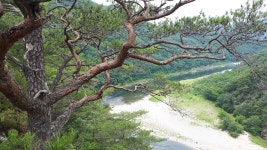 영월 잣봉(537m) - 동강 어라연길 - 산행기 - 조폐 추억 영월 잣봉(537m) - 동강 어라연길