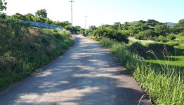 남파랑길 52코스 : 여수 율촌파출소 - 여수공항 - 소라초등학교 - 산행기 - 조폐 추억 남파랑길 52코스 : 여수 율촌파출소 - 여수공항 - 소라초등학교