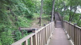 옥천 향수호수길 - 화인산림욕장 메타쉐콰이어 길 - 산행기 - 조폐 추억 옥천 향수호수길 - 화인산림욕장 메타쉐콰이어 길