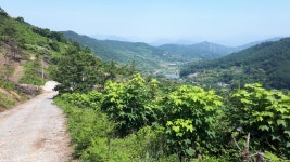 남파랑길 50코스 : 광양 중동근린공원 - 구봉산(473m) 전망대... 추억 남파랑길 50코스 : 광양 중동근린공원 - 구봉산(473m) 전망대 - 광양터미널