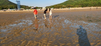 무의도 하나개 (25년 5월25일 오후 ) - ♧ 개인 사진방 - 불 갑 삼 오 회 무의도 하나개 (25년 5월25일 오후 )