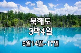 [마감] 이거야 홋카이도! 북해도 3박4일[노옵션 노팁 노쇼핑] - • [6월14일~17일] 이거야 홋카이도! 북해도 3박4일 - 일상탈출여행카페...