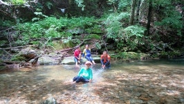 7/22일(화)경남 함양 기백산 (용추계곡 둘레길) - ☆--정기산행 사진방 - 광주효성산악회 7/22일(화)경남 함양 기백산 (용추계곡 둘레길)