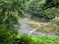 25,8,12.장수 덕산계곡(방화동생태길). - ☆--정기산행 사진방 - 광주효성산악회 25,8,12.장수 덕산계곡(방화동생태길).