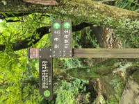 25,8,12.장수 덕산계곡(방화동생태길). - ☆--정기산행 사진방 - 광주효성산악회 25,8,12.장수 덕산계곡(방화동생태길).