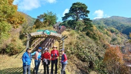 11/04일(화)지리산 뱀사골 (통나무산장/지리산천년송/와우옛길/탐방로) - ☆--정기산행 사진방 - 광주효성산악회 11/04일(화)지리산 뱀사골... 