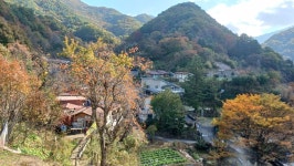 11/04일(화)지리산 뱀사골 (통나무산장/지리산천년송/와우옛길/탐방로) - ☆--정기산행 사진방 - 광주효성산악회 11/04일(화)지리산 뱀사골... 