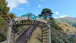 11/04일(화)지리산 뱀사골 (통나무산장/지리산천년송/와우옛길/탐방로) - ☆--정기산행 사진방 - 광주효성산악회 11/04일(화)지리산 뱀사골... 