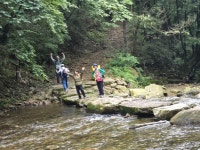 25,8,12.장수 덕산계곡(방화동생태길). - ☆--정기산행 사진방 - 광주효성산악회 25,8,12.장수 덕산계곡(방화동생태길).