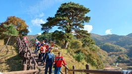 11/04일(화)지리산 뱀사골 (통나무산장/지리산천년송/와우옛길/탐방로) - ☆--정기산행 사진방 - 광주효성산악회 11/04일(화)지리산 뱀사골... 