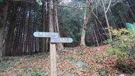 2/10일(화)경남 통영 미륵산 둘레길 - ☆--정기산행 사진방 - 광주효성산악회 2/10일(화)경남 통영 미륵산 둘레길