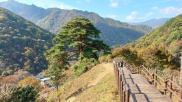 11/04일(화)지리산 뱀사골 (통나무산장/지리산천년송/와우옛길/탐방로) - ☆--정기산행 사진방 - 광주효성산악회 11/04일(화)지리산 뱀사골... 