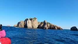 10/28일 테마여행 백도(유람선) - ☆--정기산행 사진방 - 광주효성산악회 10/28일 테마여행 백도(유람선)