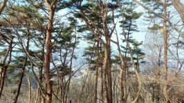 12/16일(화)경남 의령 한우산 (호랑이쉼터/하늘전망대/쇠목재)... 광주효성산악회 12/16일(화)경남 의령 한우산 (호랑이쉼터/하늘전망대/쇠목재)