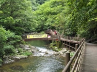 25,8,12.장수 덕산계곡(방화동생태길). - ☆--정기산행 사진방 - 광주효성산악회 25,8,12.장수 덕산계곡(방화동생태길).