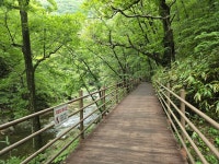 25,8,12.장수 덕산계곡(방화동생태길). - ☆--정기산행 사진방 - 광주효성산악회 25,8,12.장수 덕산계곡(방화동생태길).