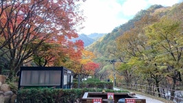 11/04일(화)지리산 뱀사골 (통나무산장/지리산천년송/와우옛길/탐방로) - ☆--정기산행 사진방 - 광주효성산악회 11/04일(화)지리산 뱀사골... 