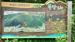 전남 고흥 두방산(심진섭고문님 생신 기념행사/당곡재/삼거리/두방산... 전남 고흥 두방산(심진섭고문님 생신 기념행사/당곡재/삼거리/두방산... 