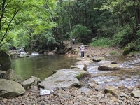 25,8,12.장수 덕산계곡(방화동생태길). - ☆--정기산행 사진방 - 광주효성산악회 25,8,12.장수 덕산계곡(방화동생태길).