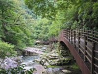 25,8,12.장수 덕산계곡(방화동생태길). - ☆--정기산행 사진방 - 광주효성산악회 25,8,12.장수 덕산계곡(방화동생태길).