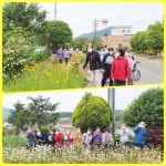 동진 꽃길 산책 - 노인주간보호 - 동진노인복지센터 동진 꽃길 산책