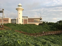 역사책여행 넷째 날 ‘독도전망대 사동해수욕 태하전망대 일몰과... 역사책여행 넷째 날 ‘독도전망대 사동해수욕 태하전망대 일몰과 숲길’