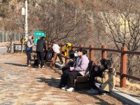 태백에서 바다까지 백리길 걸었습니다 - 철암에살자 - 철암도서관 | 이웃과 인정이 있는 철암세상 태백에서 바다까지 백리길 걸었습니다
