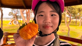 자전거 여행 둘째 날 사진 : 국토종주 새재 자전거길 - 철암도서관 - 철암도서관 | 이웃과 인정이 있는 철암세상 자전거 여행 둘째 날 사진... 