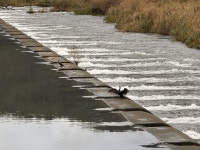 자전거 여행 둘째 날 사진 : 국토종주 새재 자전거길 - 철암도서관 - 철암도서관 | 이웃과 인정이 있는 철암세상 자전거 여행 둘째 날 사진... 