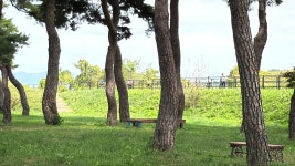 자전거 여행 둘째 날 사진 : 국토종주 새재 자전거길 - 철암도서관 - 철암도서관 | 이웃과 인정이 있는 철암세상 자전거 여행 둘째 날 사진... 