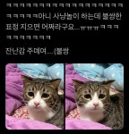 트위터 동물농장 - 악플달면 쩌리쩌려버려 - ＊여성시대＊ 차분한 20대들의 알흠다운 공간 트위터 동물농장
