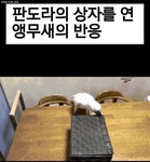 판도라의 상자 - 악플달면 쩌리쩌려버려 - ＊여성시대＊ 차분한 20대들의 알흠다운 공간 판도라의 상자